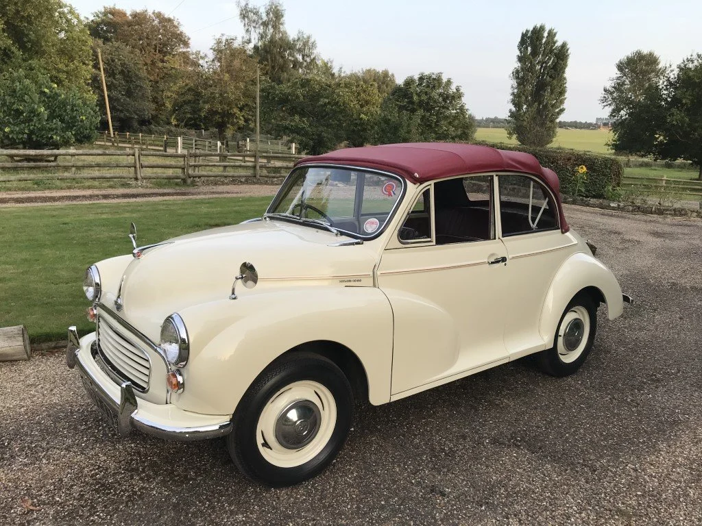 IMG_2603 (Medium).JPG