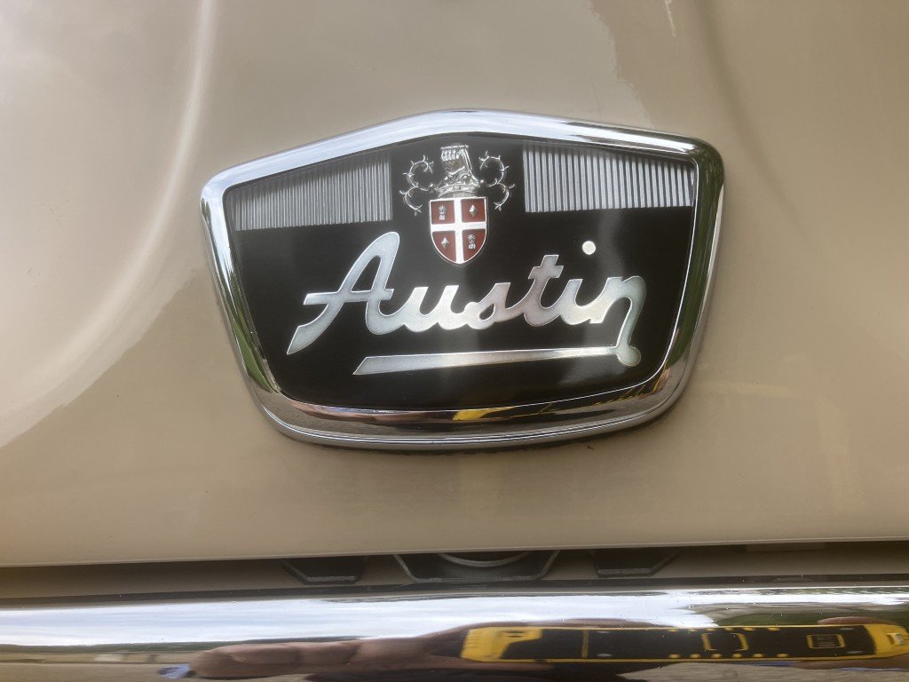 83 (Medium).JPG