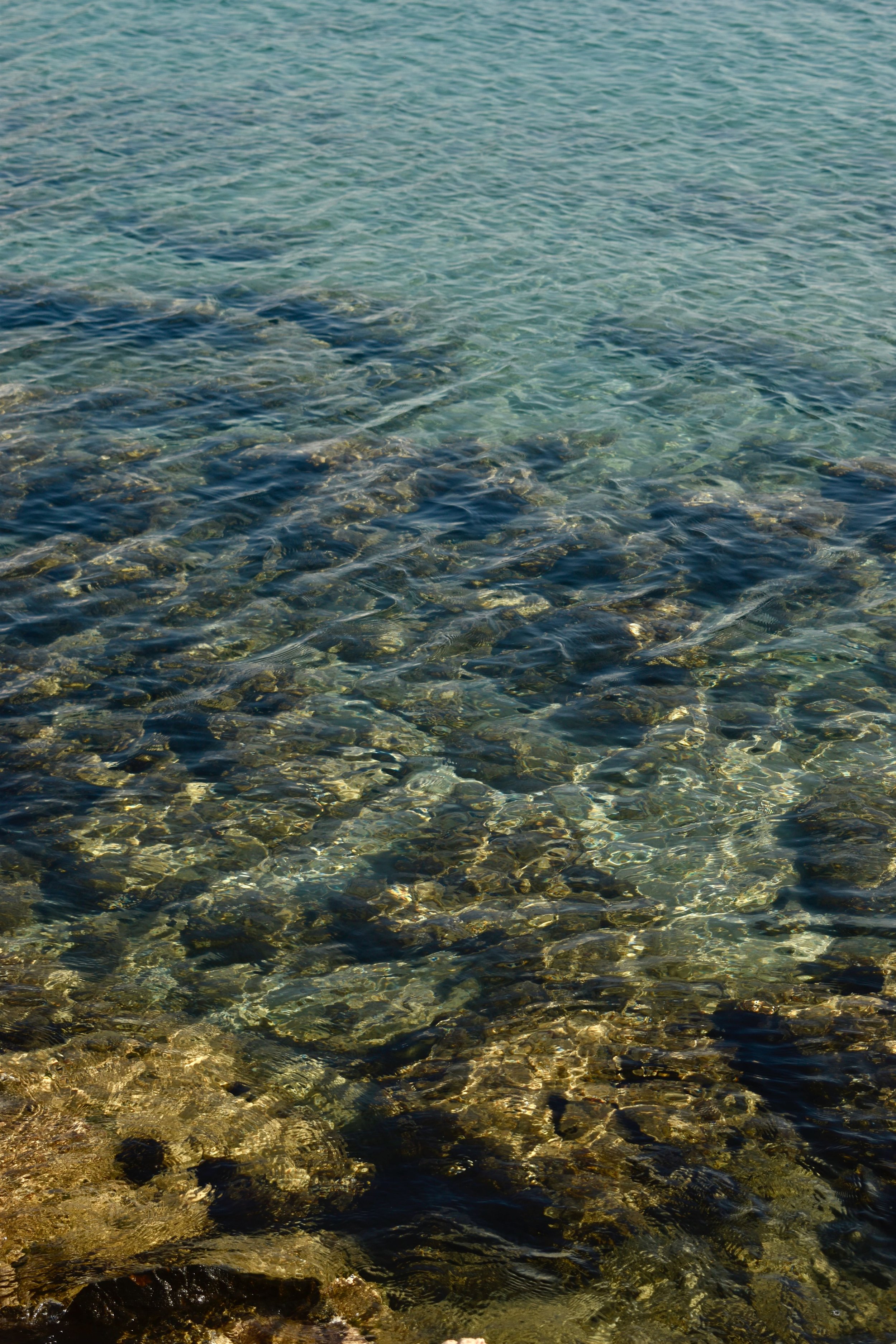 _DSC0766.jpeg