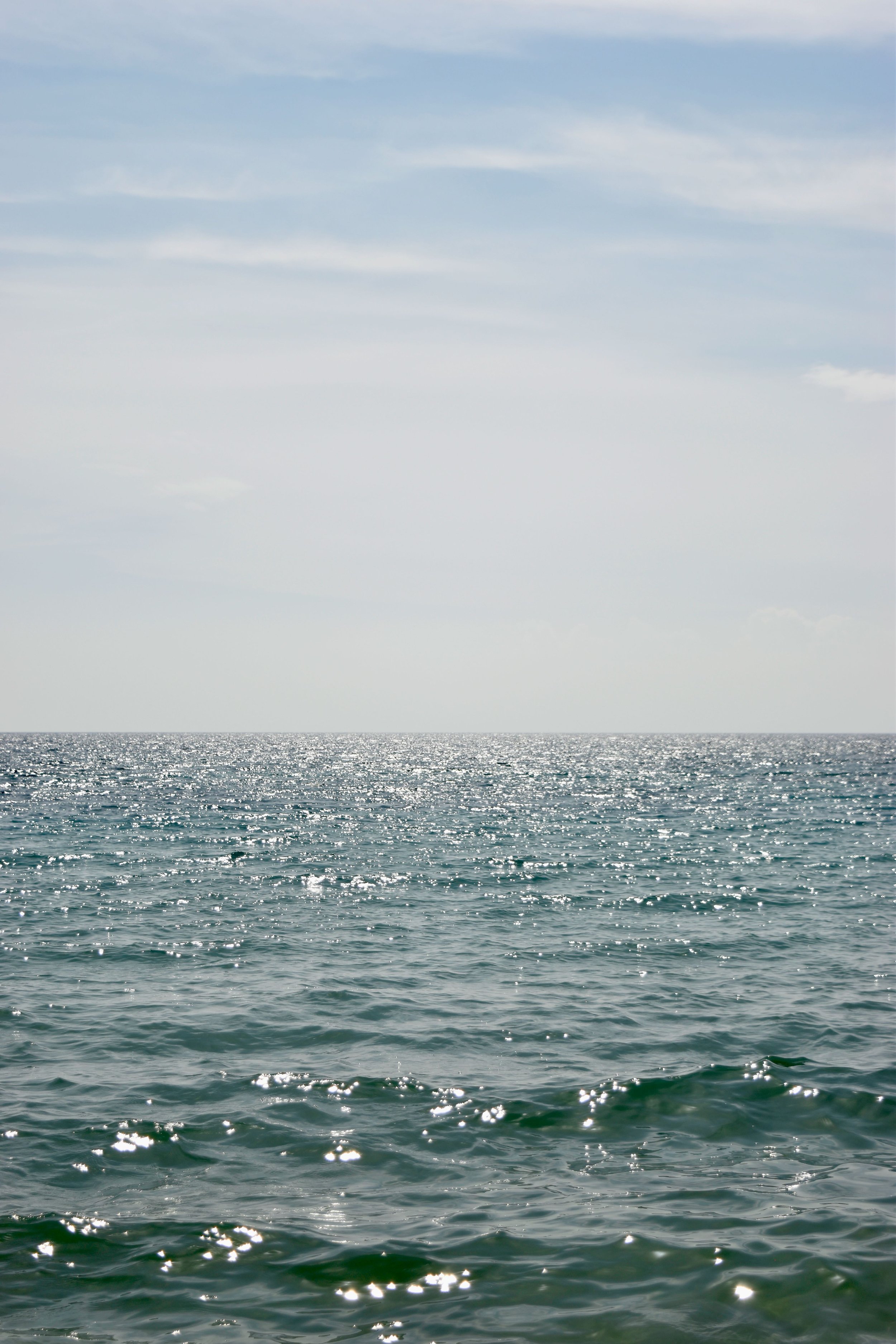 _DSC0801.jpeg