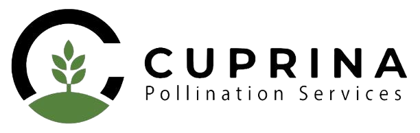 Cuprina Pollination