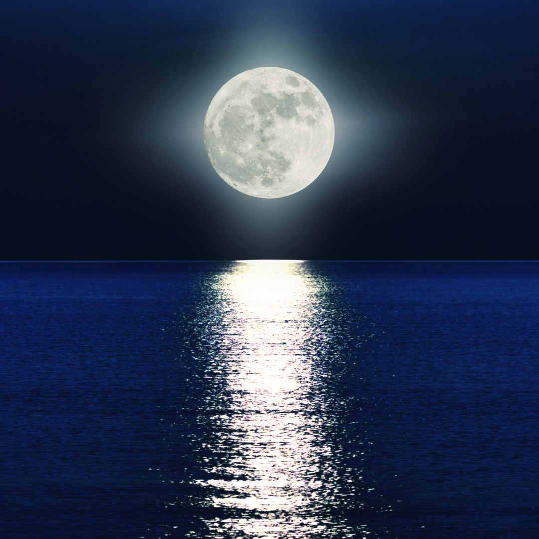 Meditazione serale