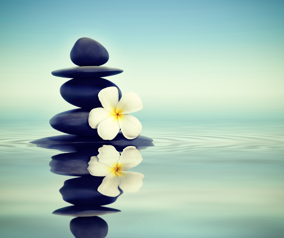 Meditazione econdivisione