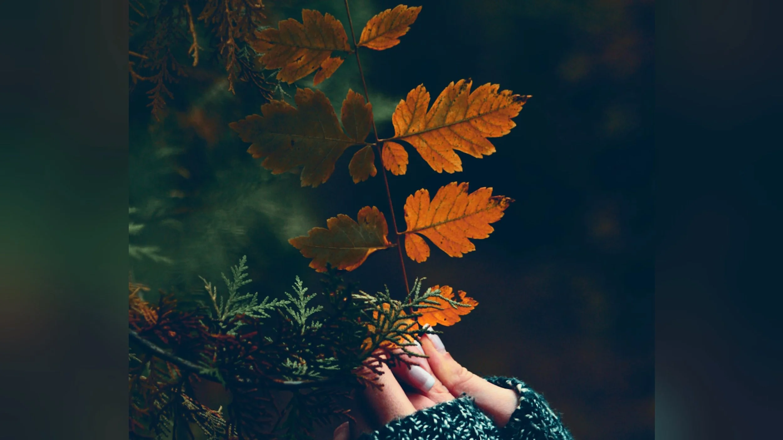Rituale “Equinozio di autunno”