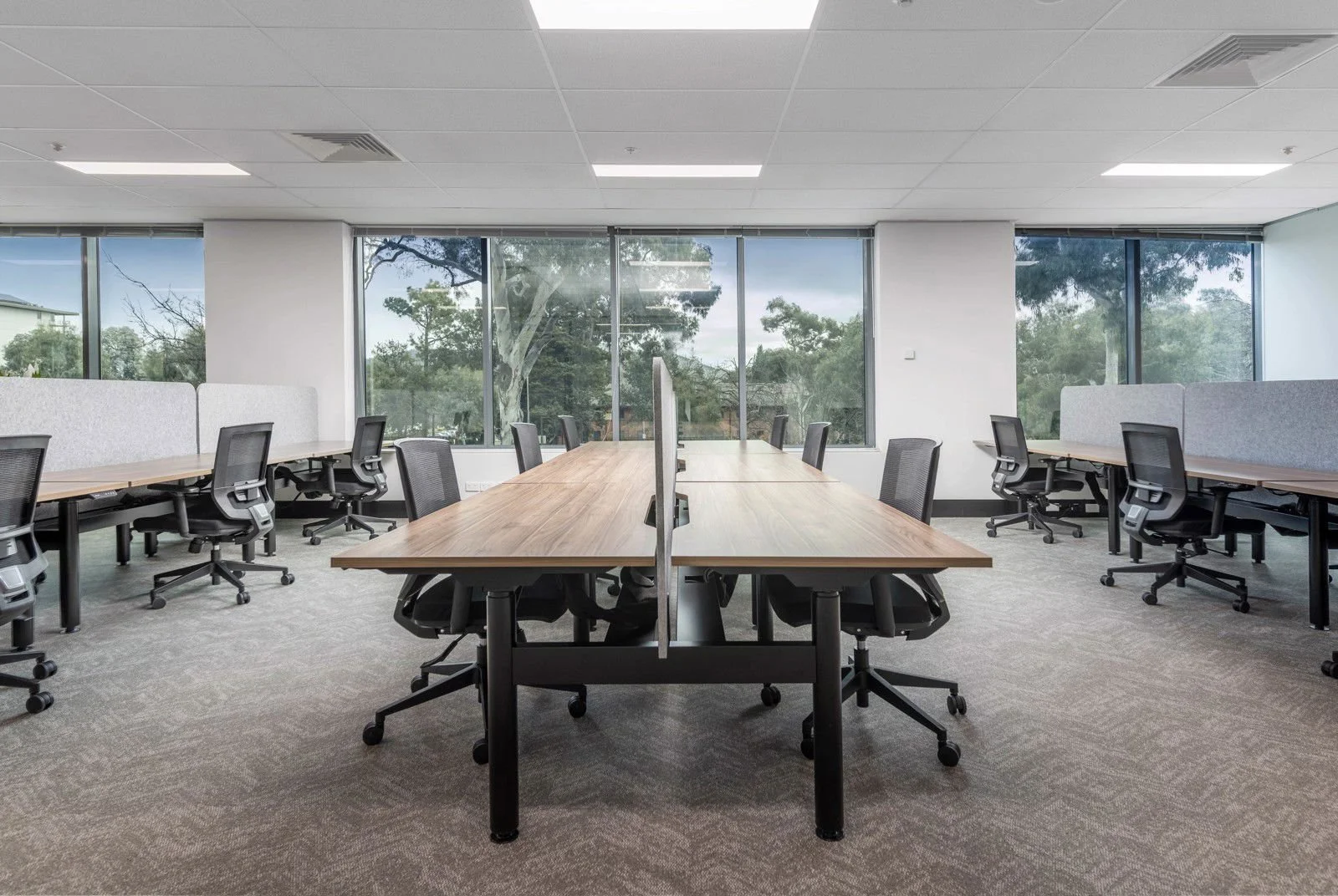 Speculative Office Suite - Fitout
