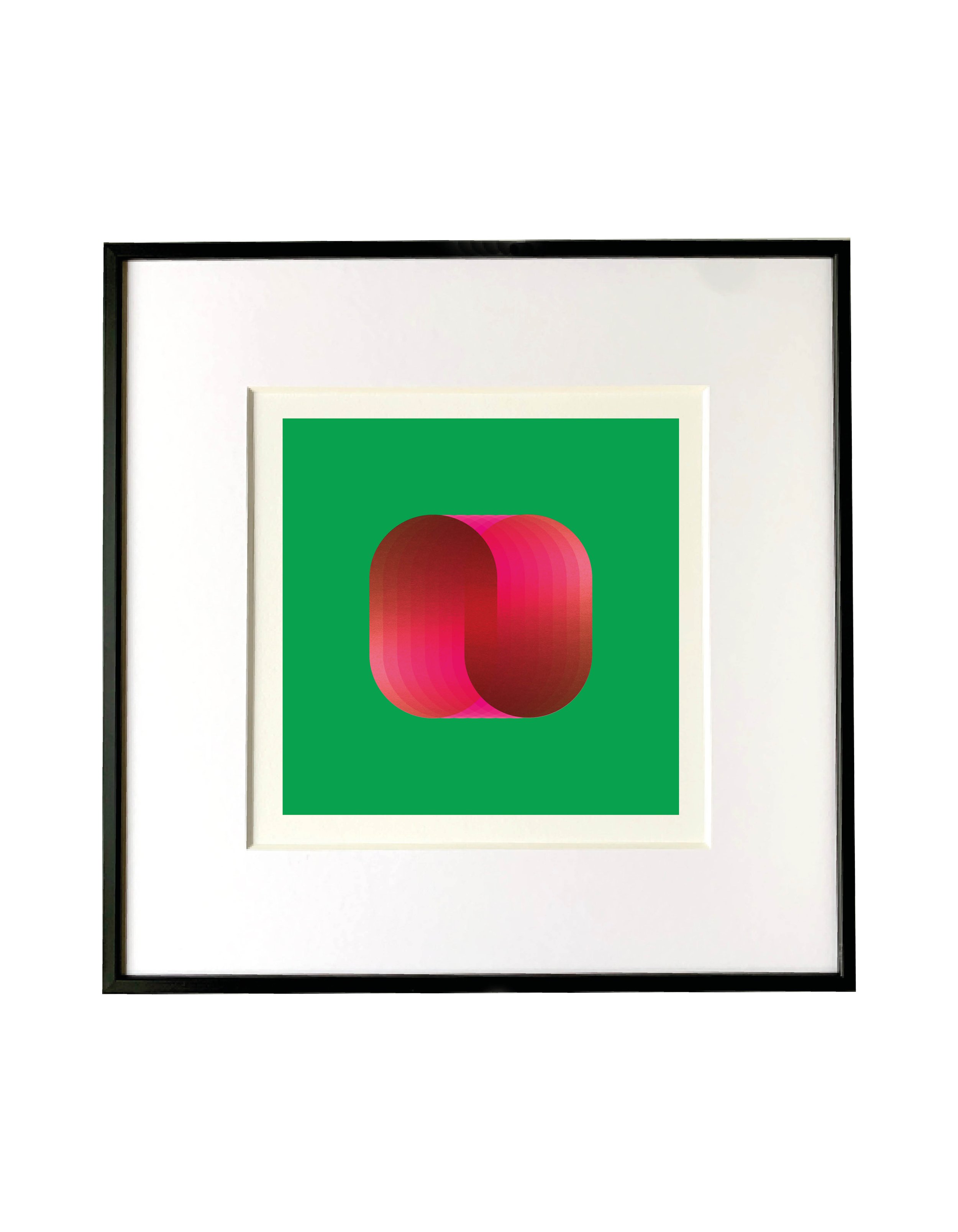 Rose in frame.jpg