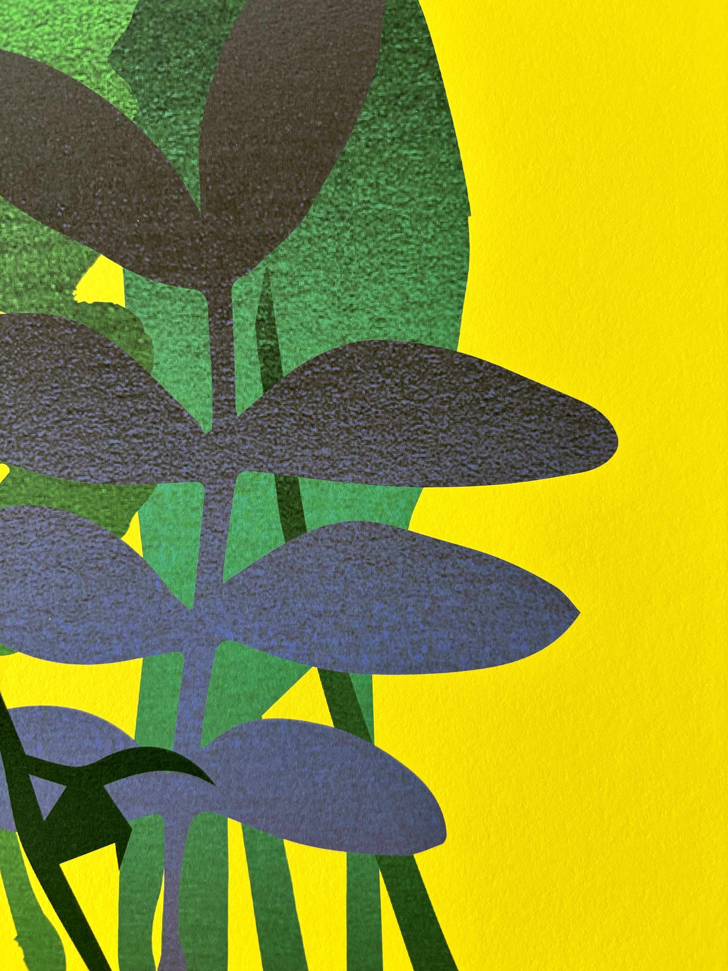 Yellow3.jpg
