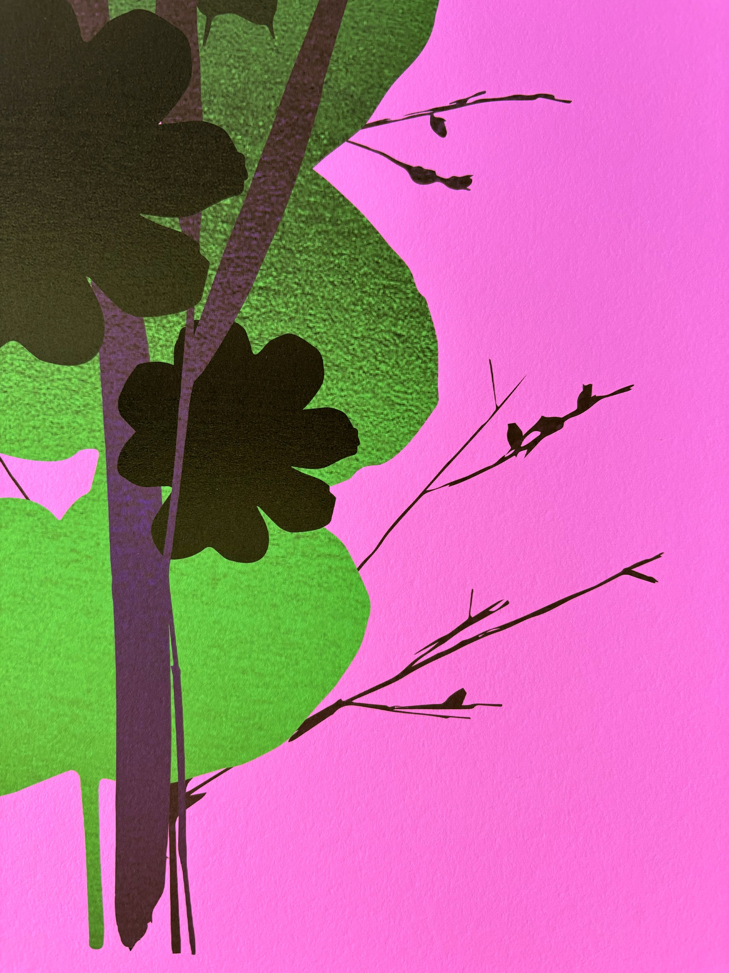 Pink5.jpg
