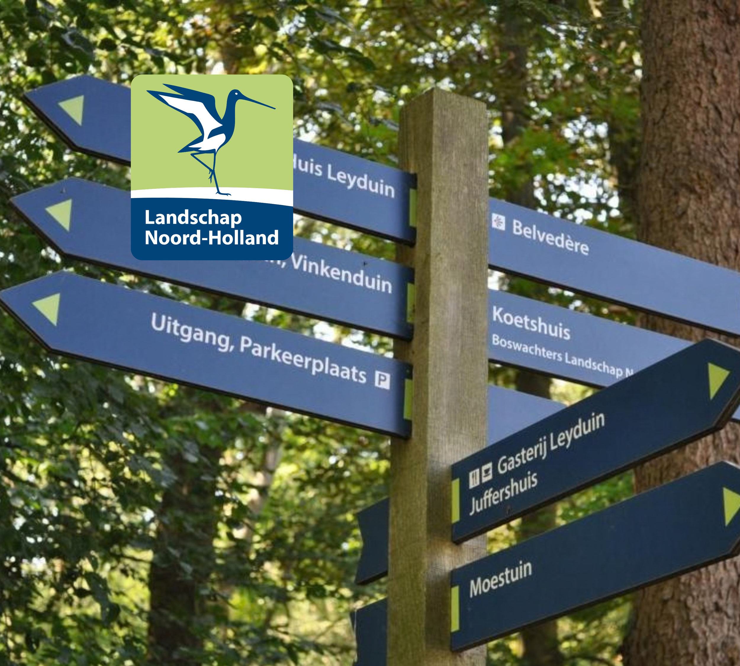 Wegwijzer met meerdere blauwe pijlen met witte tekst in een bos, wijzend naar verschillende locaties