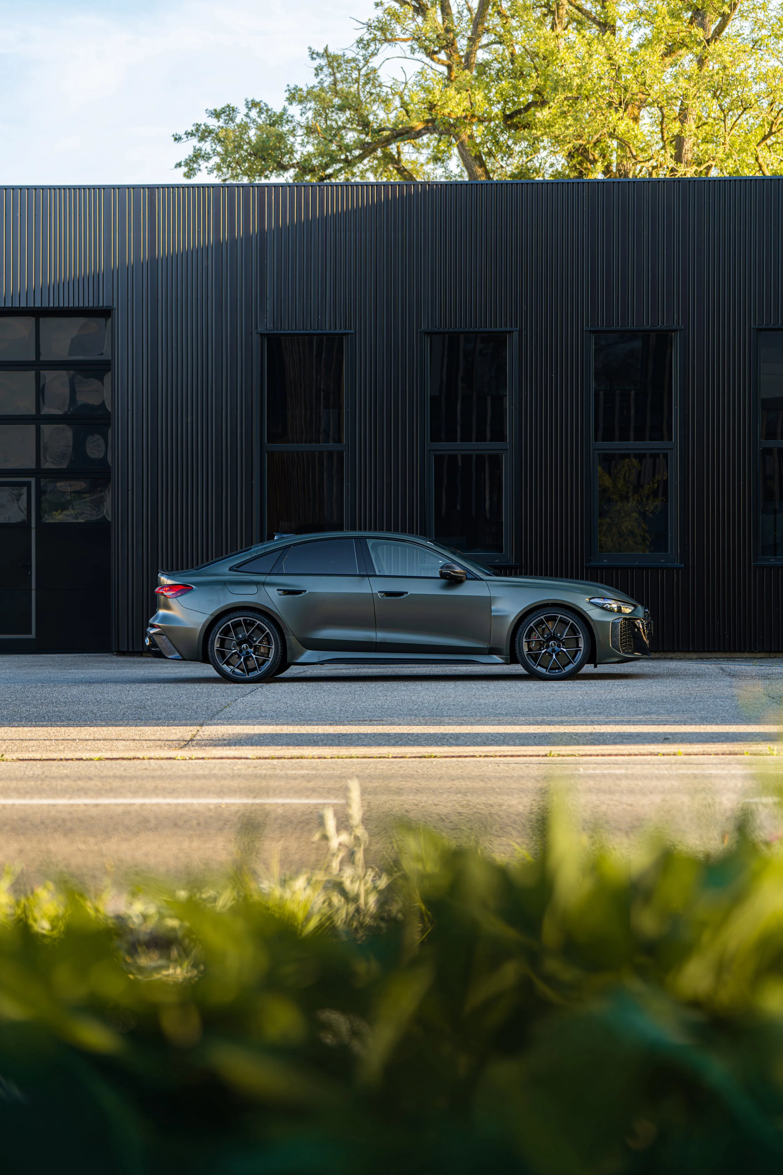 RS5_1.jpg