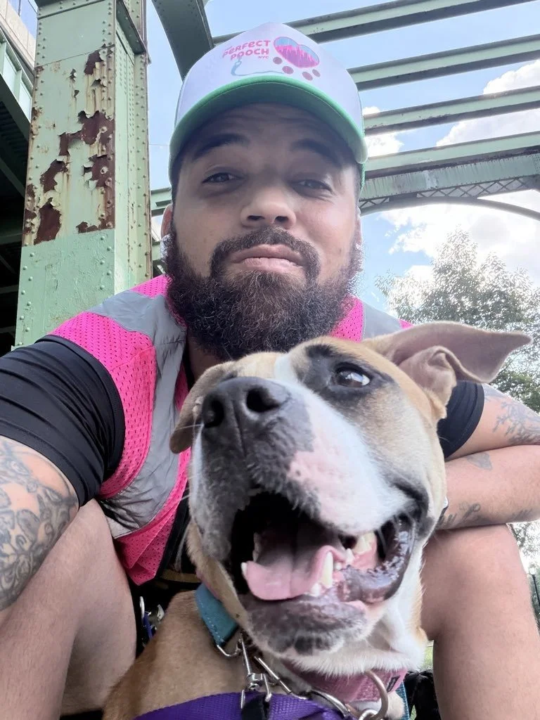 Rasheed, Perfect Pooch Pet Caretaker