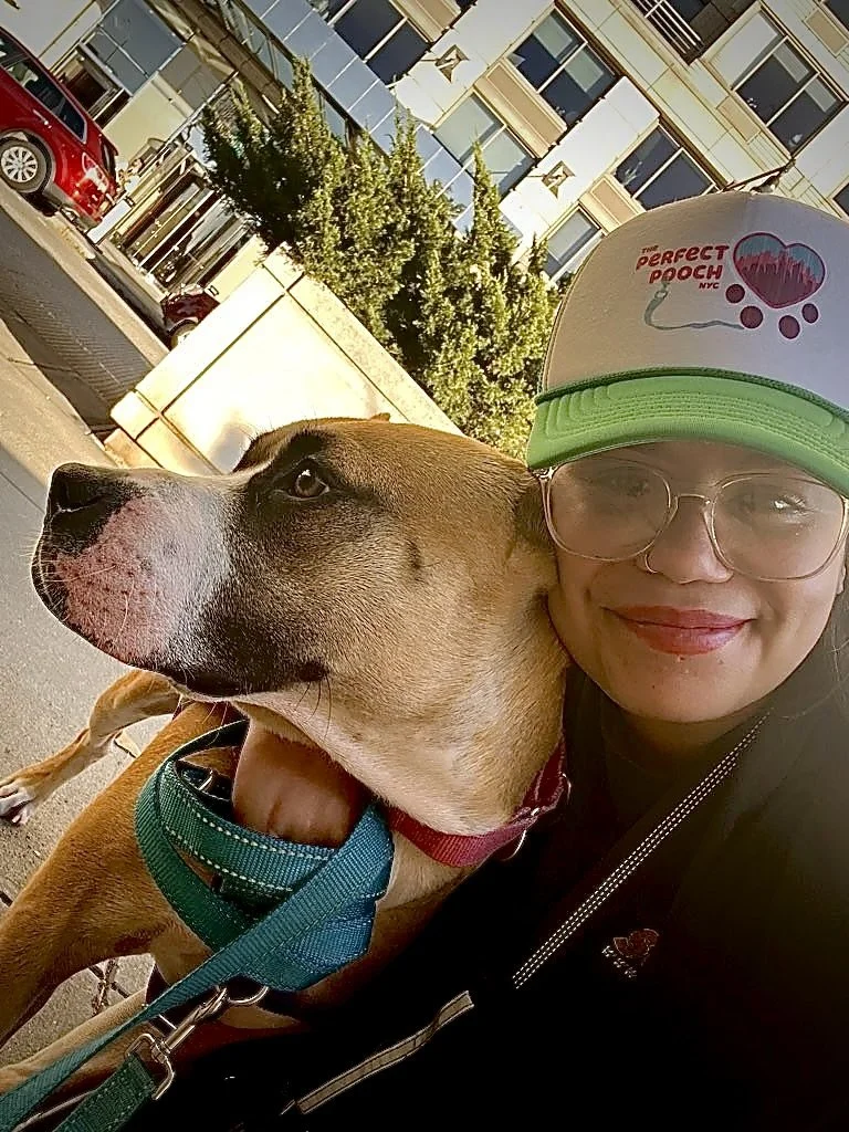 Heidi, Perfect Pooch Pet Caretaker