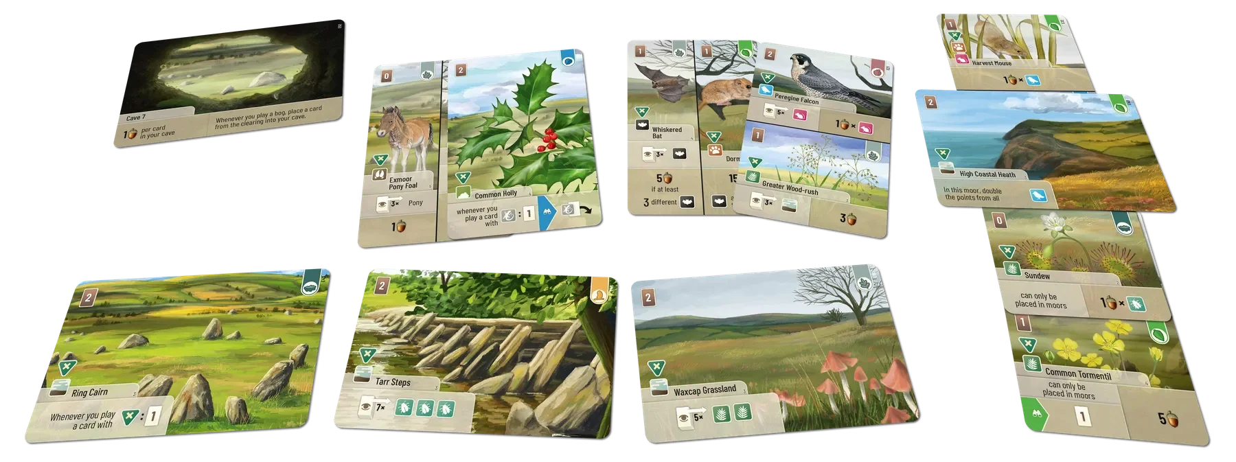 Forest Shuffle Dartmoor Exmoor Expansion Contents.webp