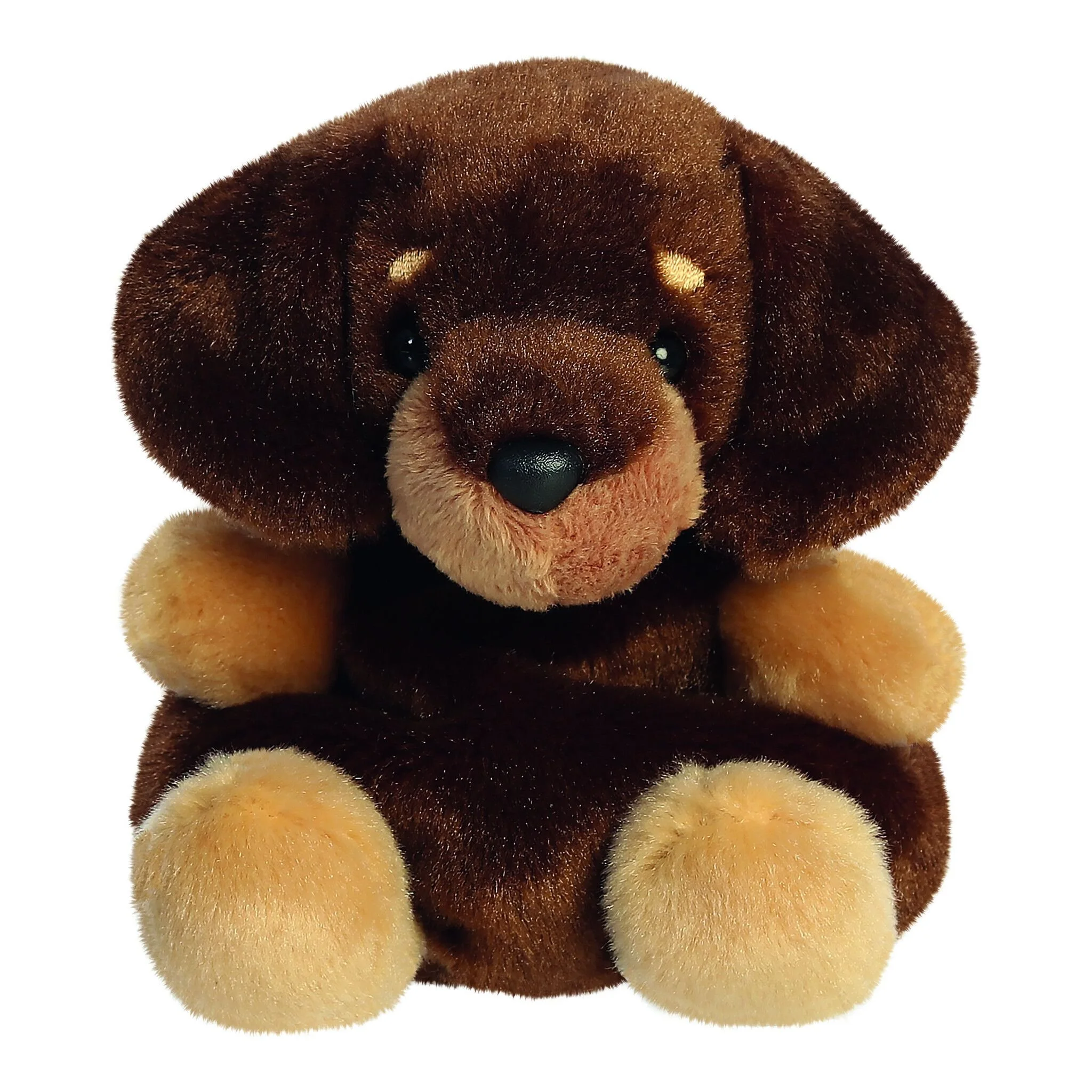 Palm Pals Houdini Dachsund 5in Plush.jpg