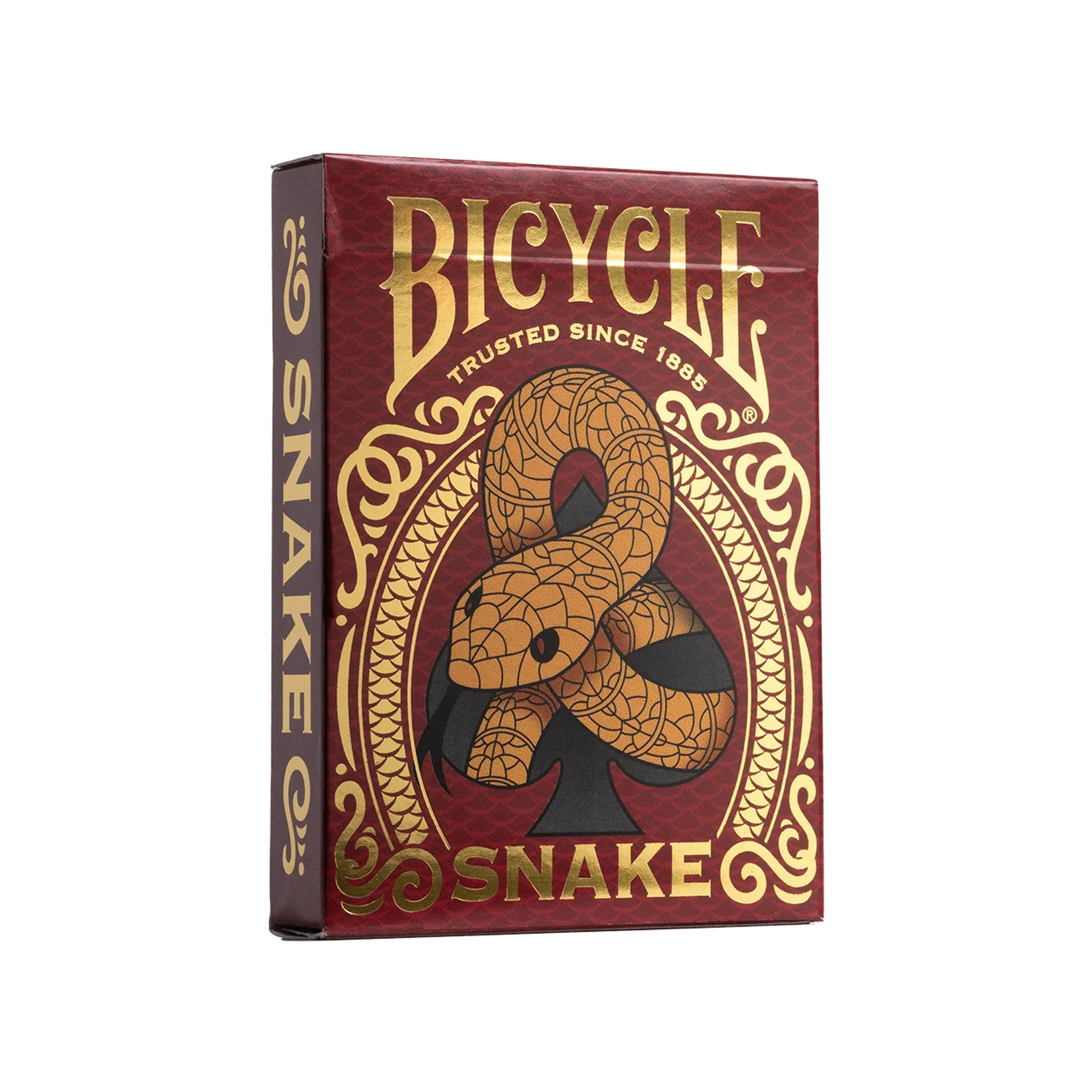 -01_1004098-bicycle_snake_cny-00__57954.webp