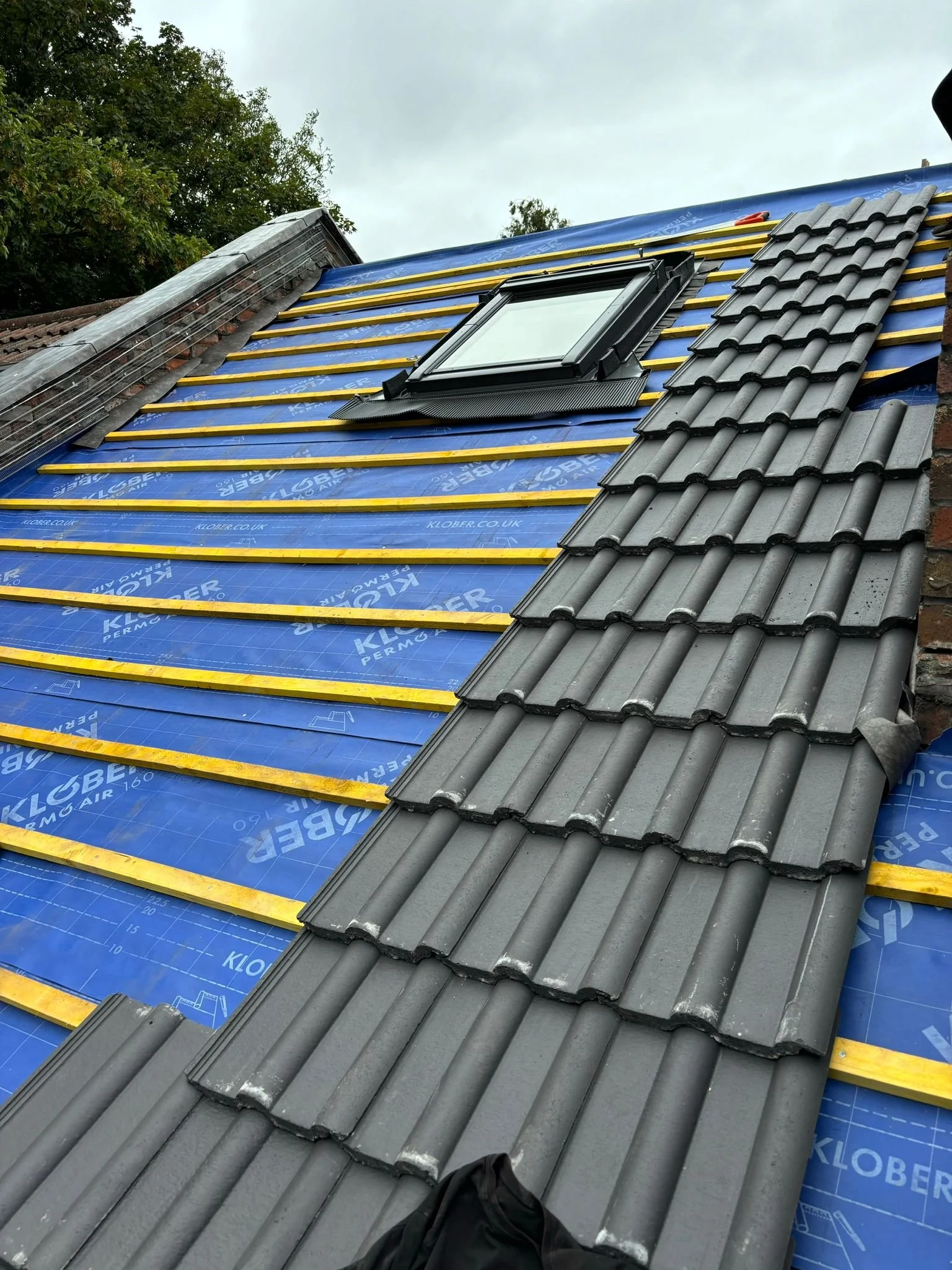 WhatsApp Image 2024-08-16 at 20.48.54.jpeg