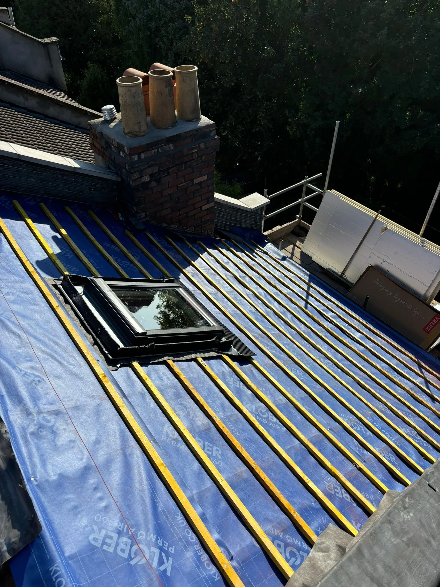 WhatsApp Image 2024-08-16 at 20.48.55.jpeg