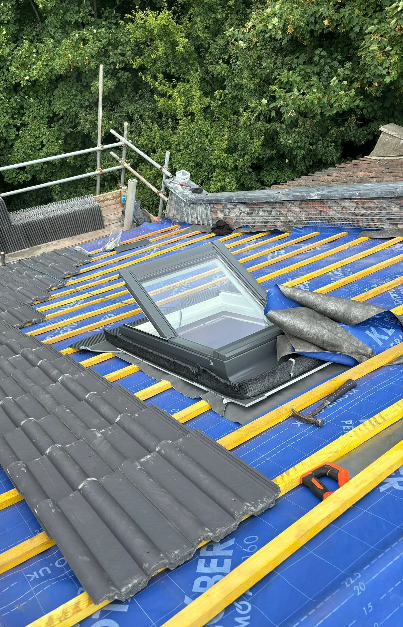 WhatsApp Image 2024-08-16 at 20.48.56.jpeg