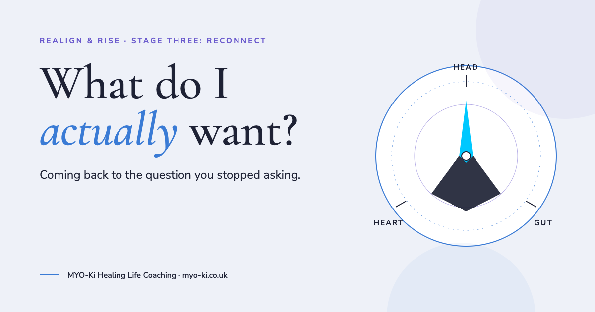 What do I actually want? Coming back to the question you stopped asking