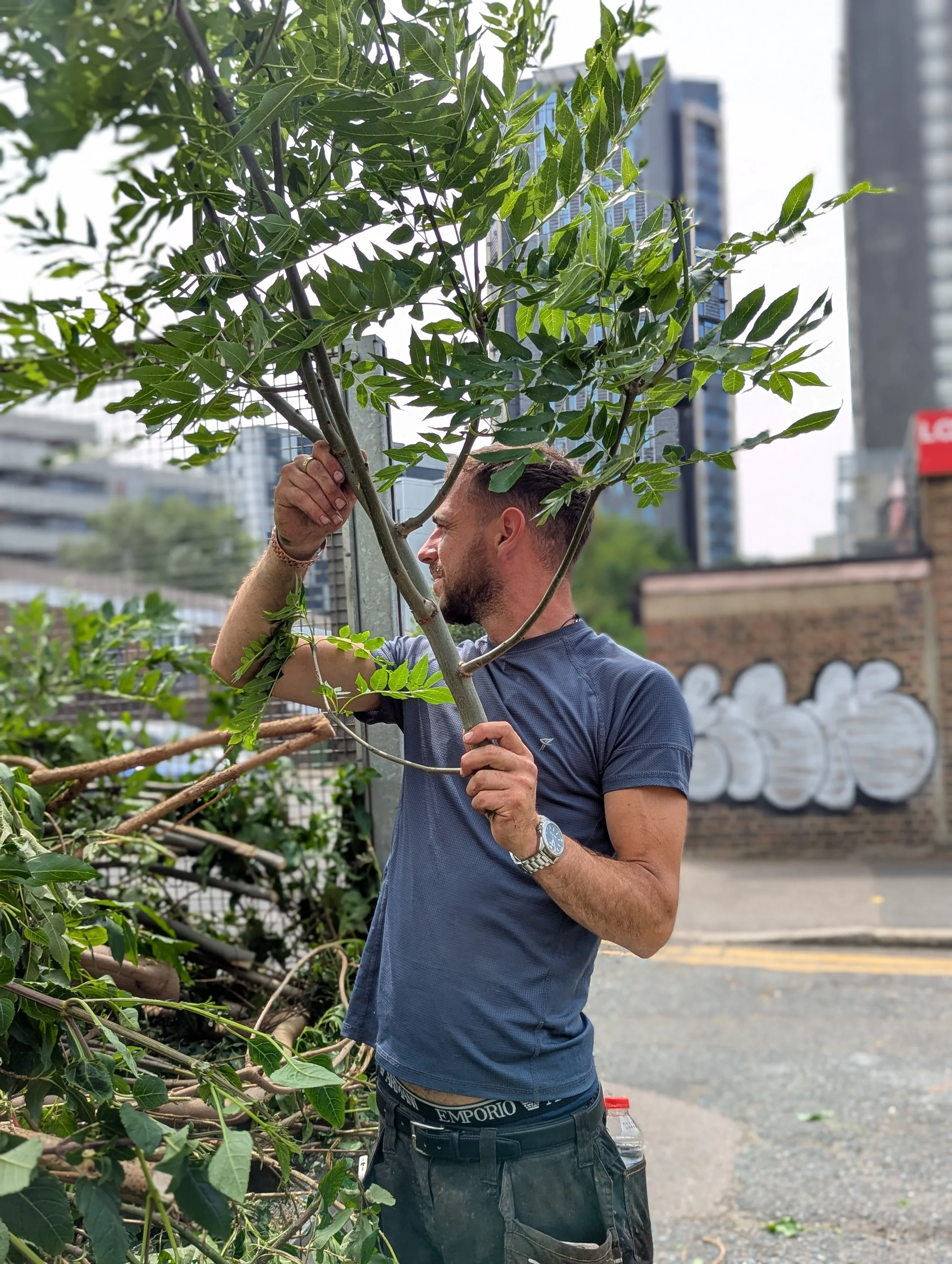 James the Woodsman branch.jpg