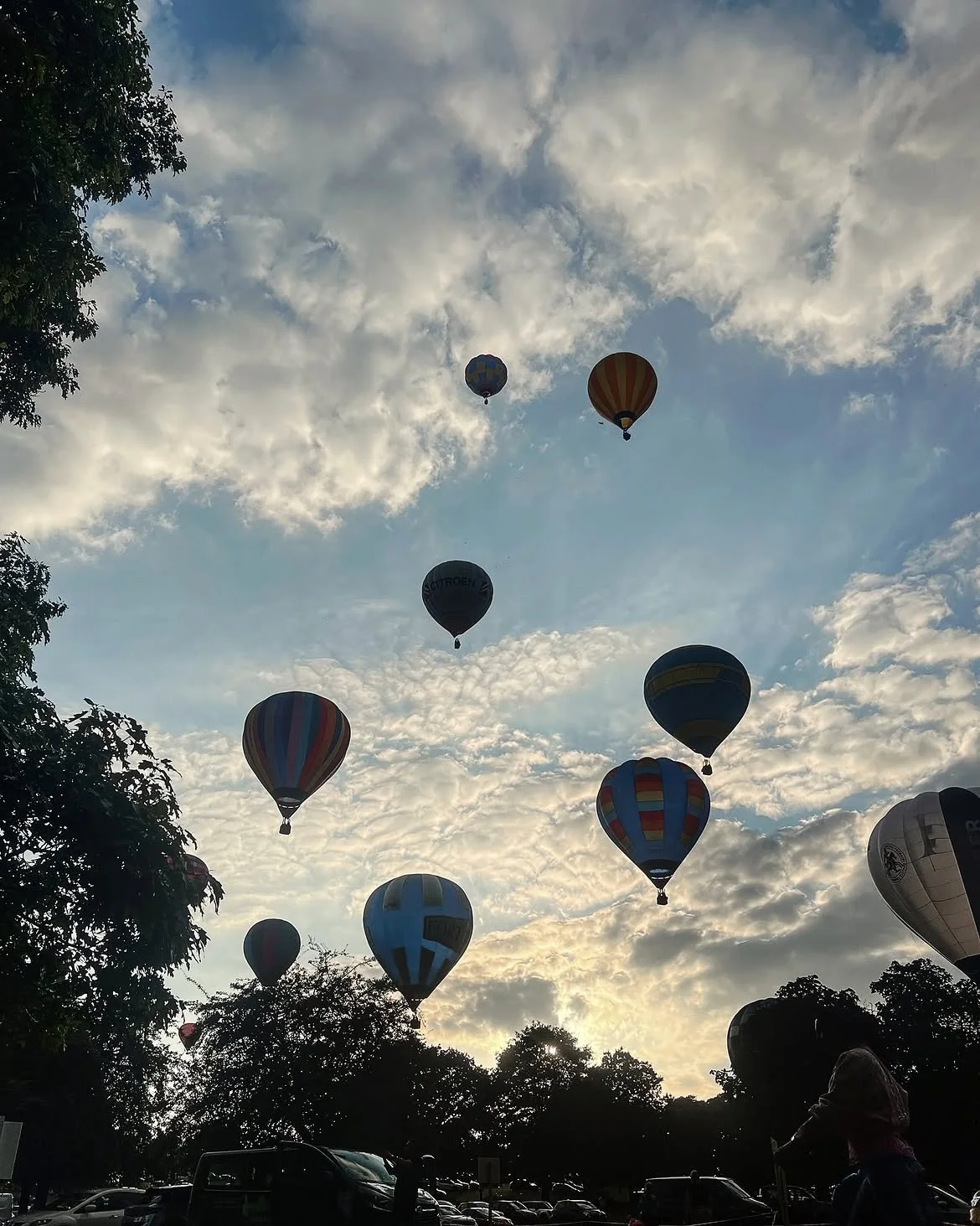 “adventure is out there” - UP (1).jpg
