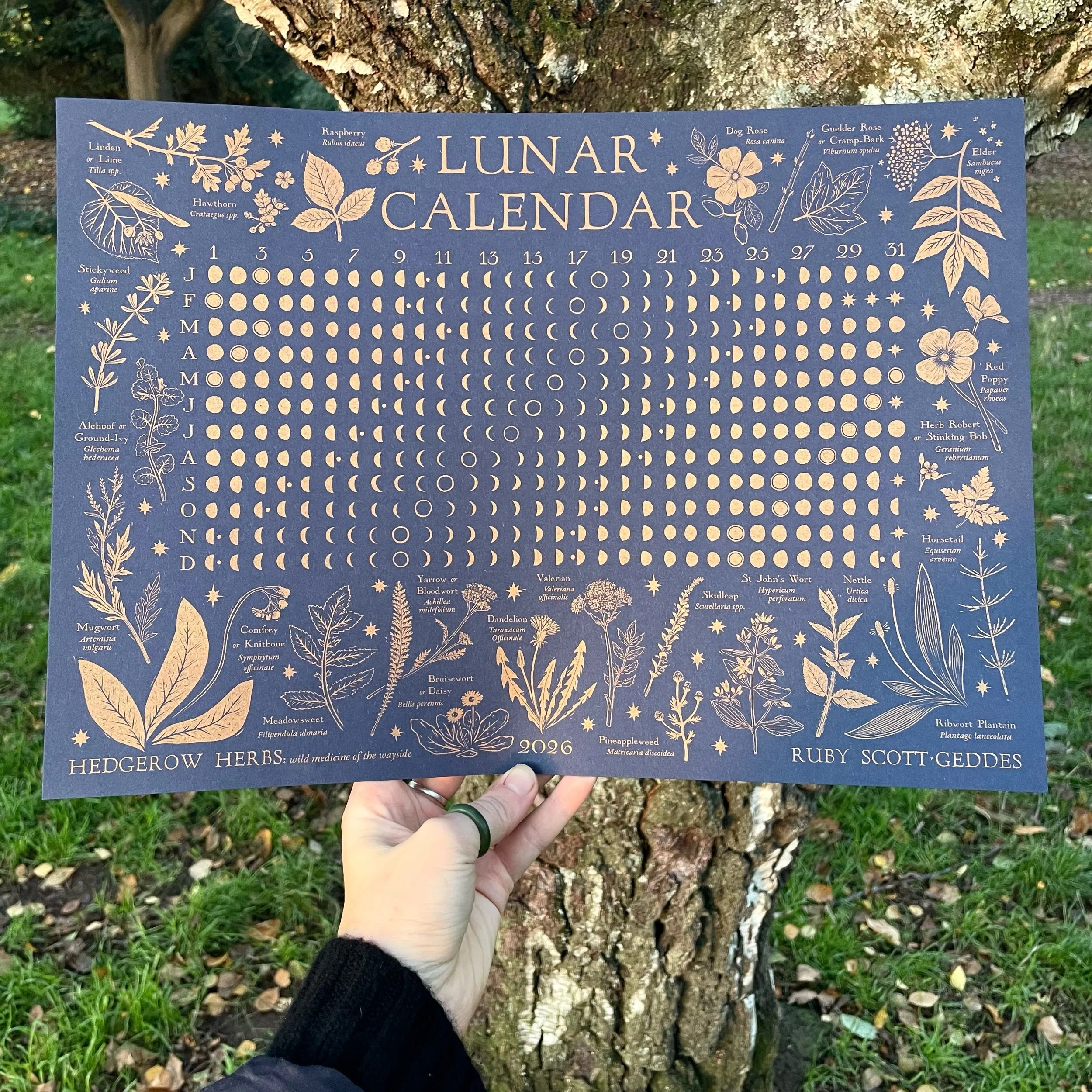 2026 Lunar Calendar ~ Hedgerow Herbalism: wild medicine of the wayside