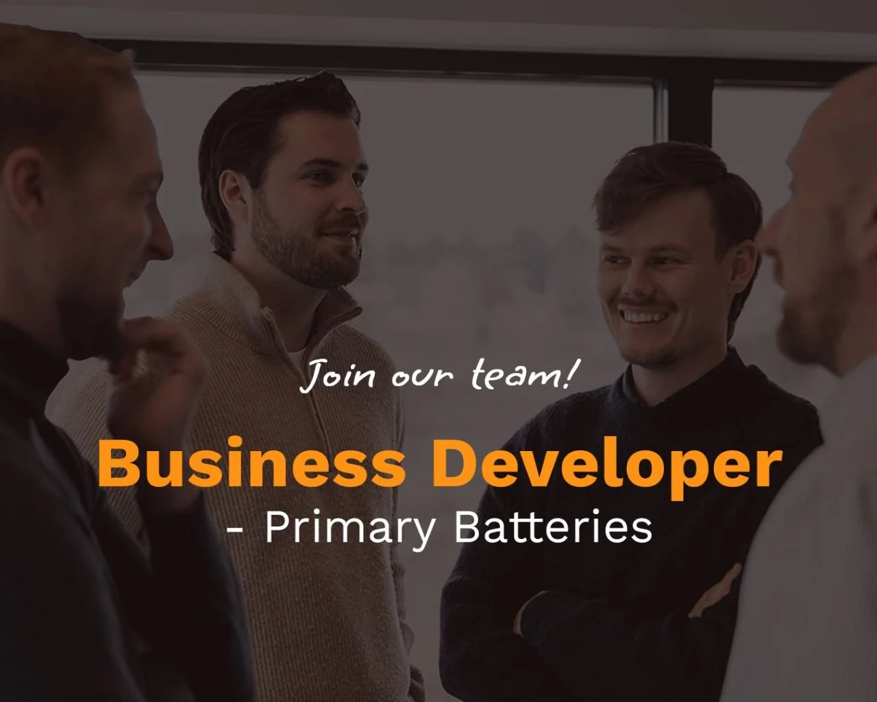 Business Developer - Primary Batteries