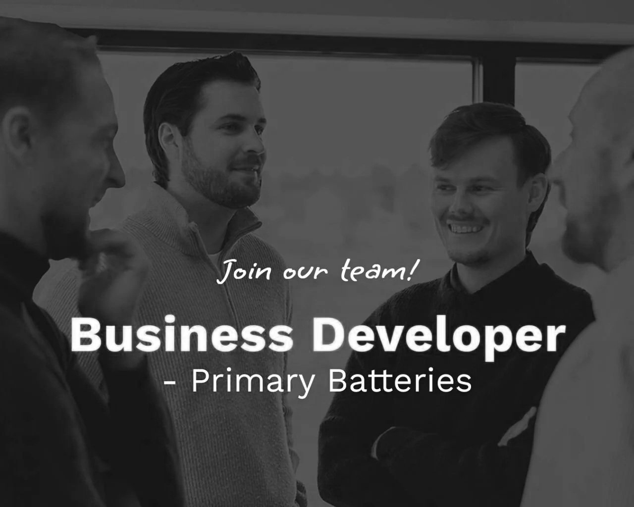 Filled - Business Developer - Primary Batteries 