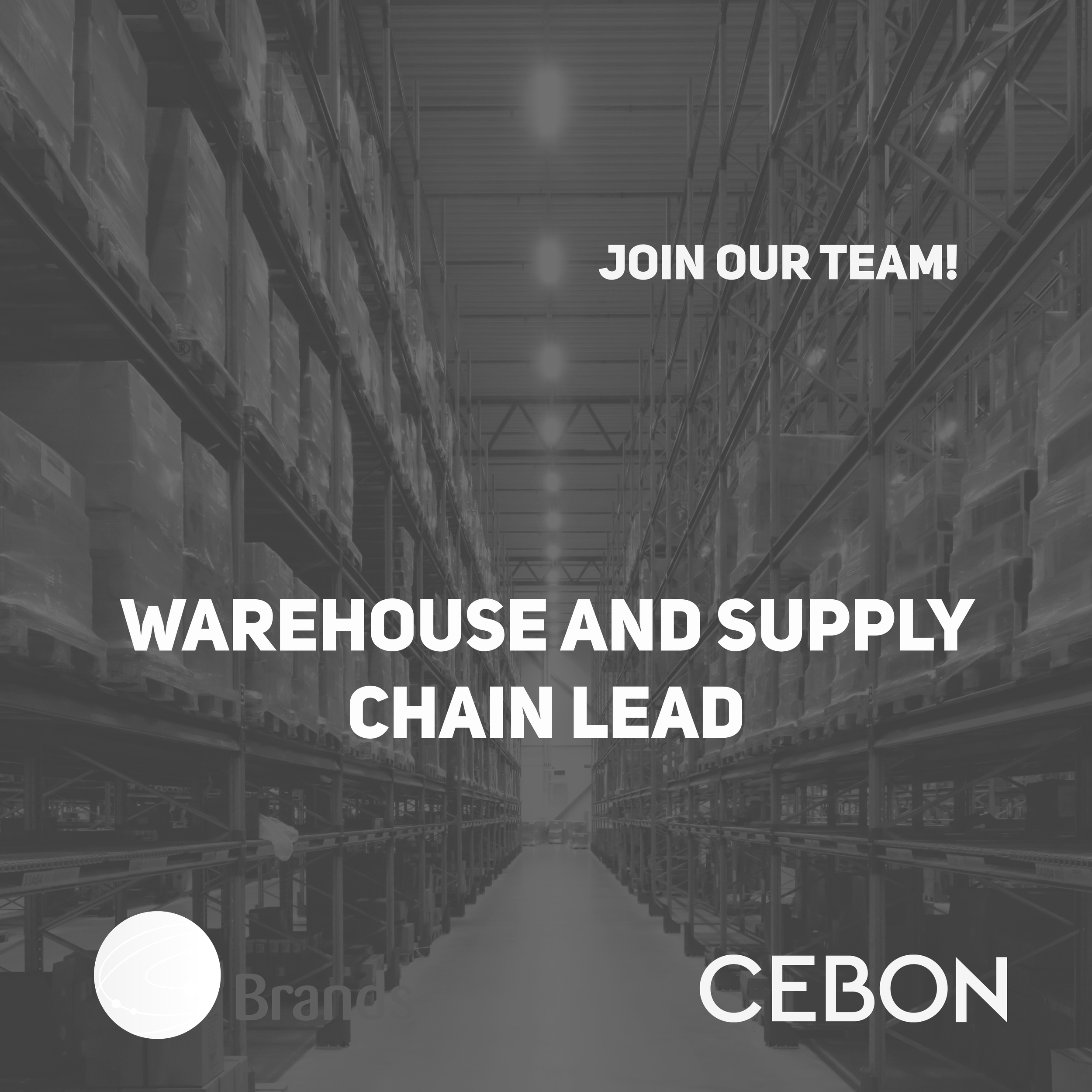 Ingevuld - Warehouse &amp; Supply Chain Lead