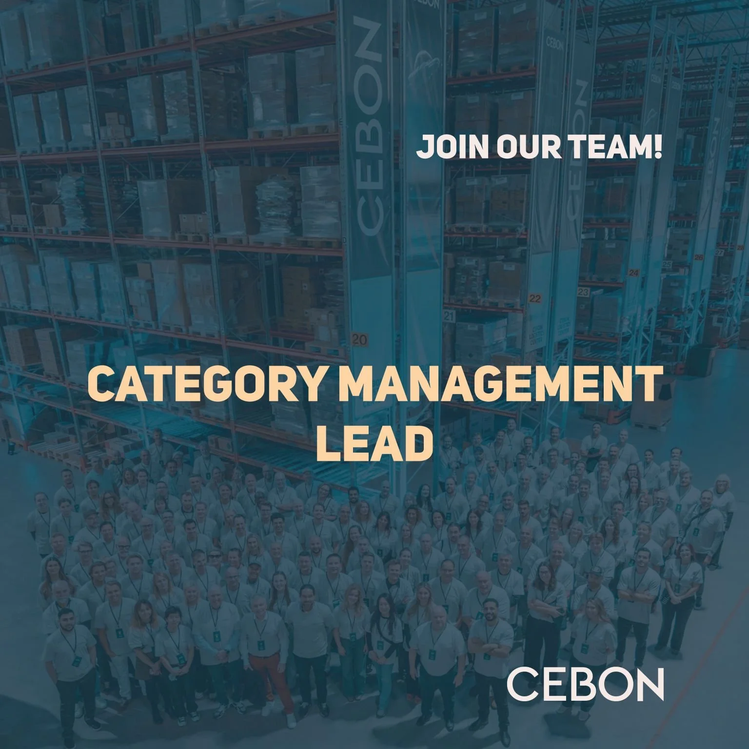 Category Management Lead - Brendz