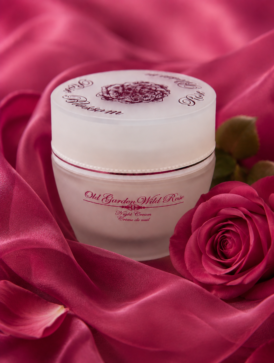 shop day cream 4.png