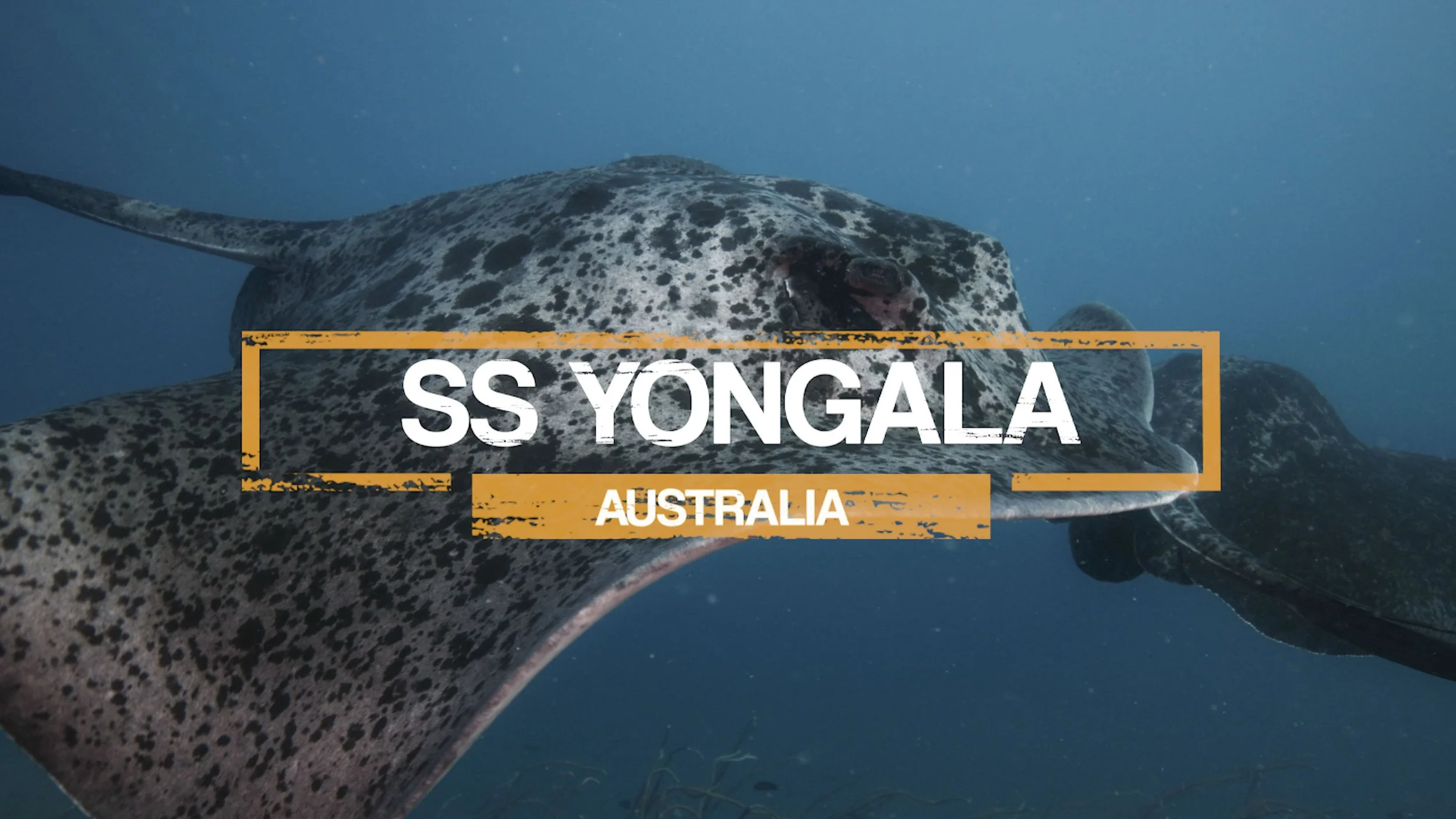 Yongala thumbnail-2.jpg
