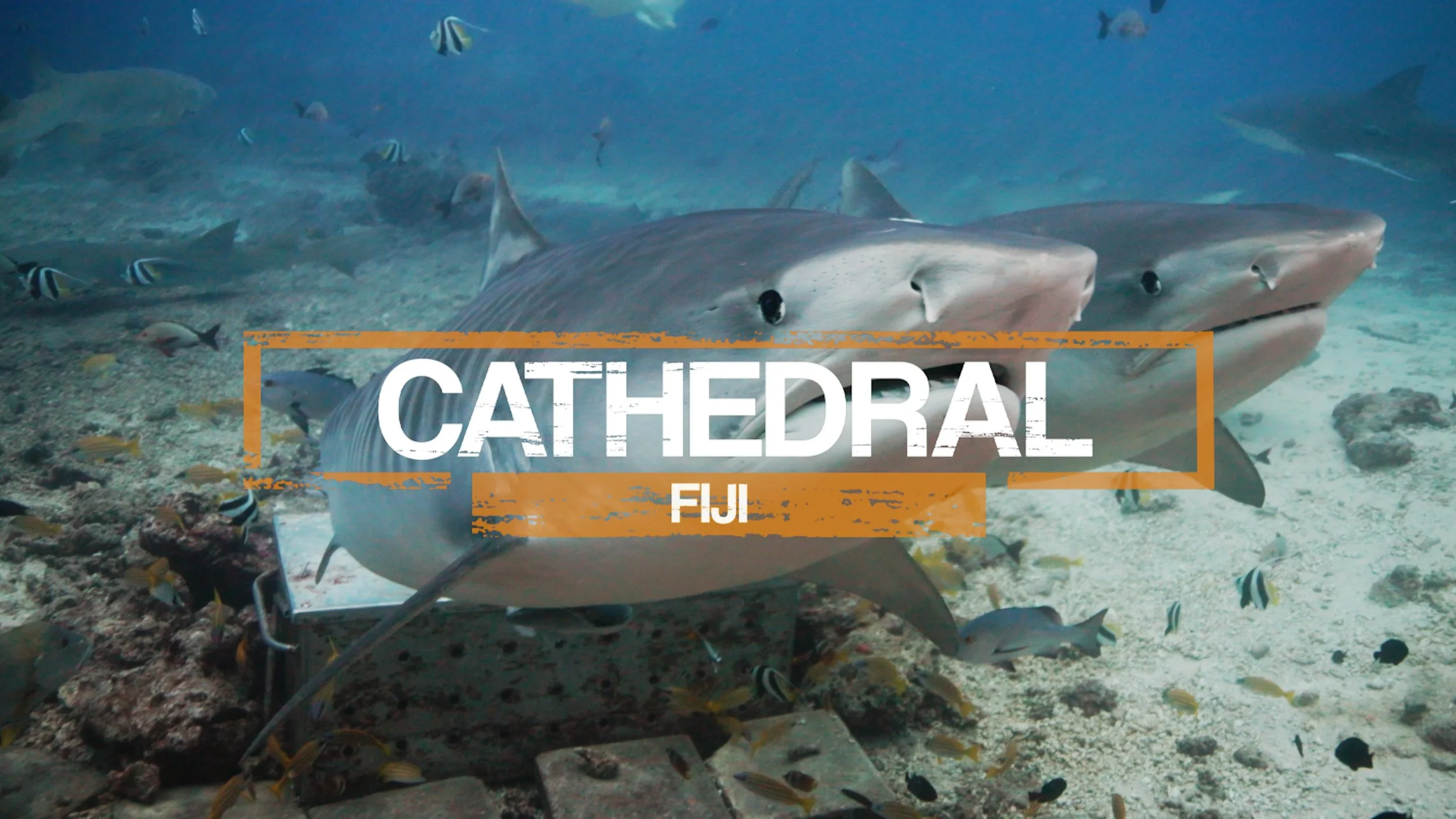 Cathedral Thumbnail Final.jpg