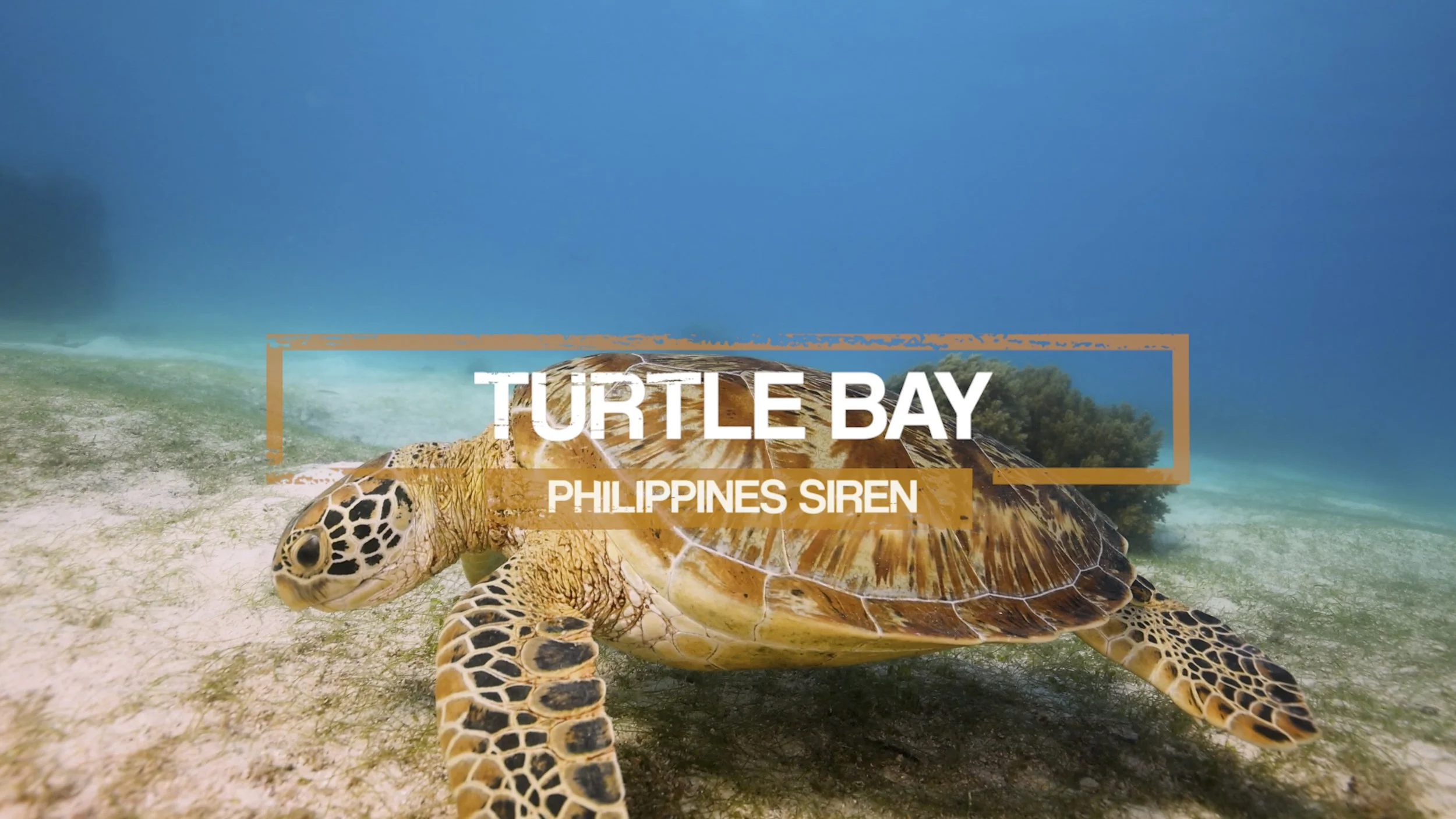 Philippines Siren - Main Movie.00_25_18_01.Still006.jpg