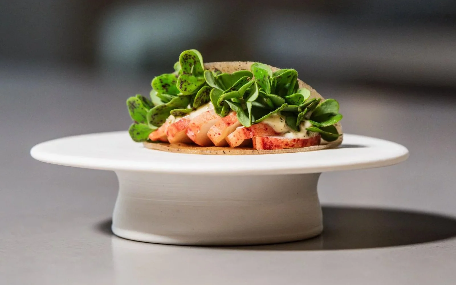  Boiled Lobster Claws, Brown Butter Cream, Pickled Dill, Dill Seeds, Green Oxalis, Tunnbröd 
