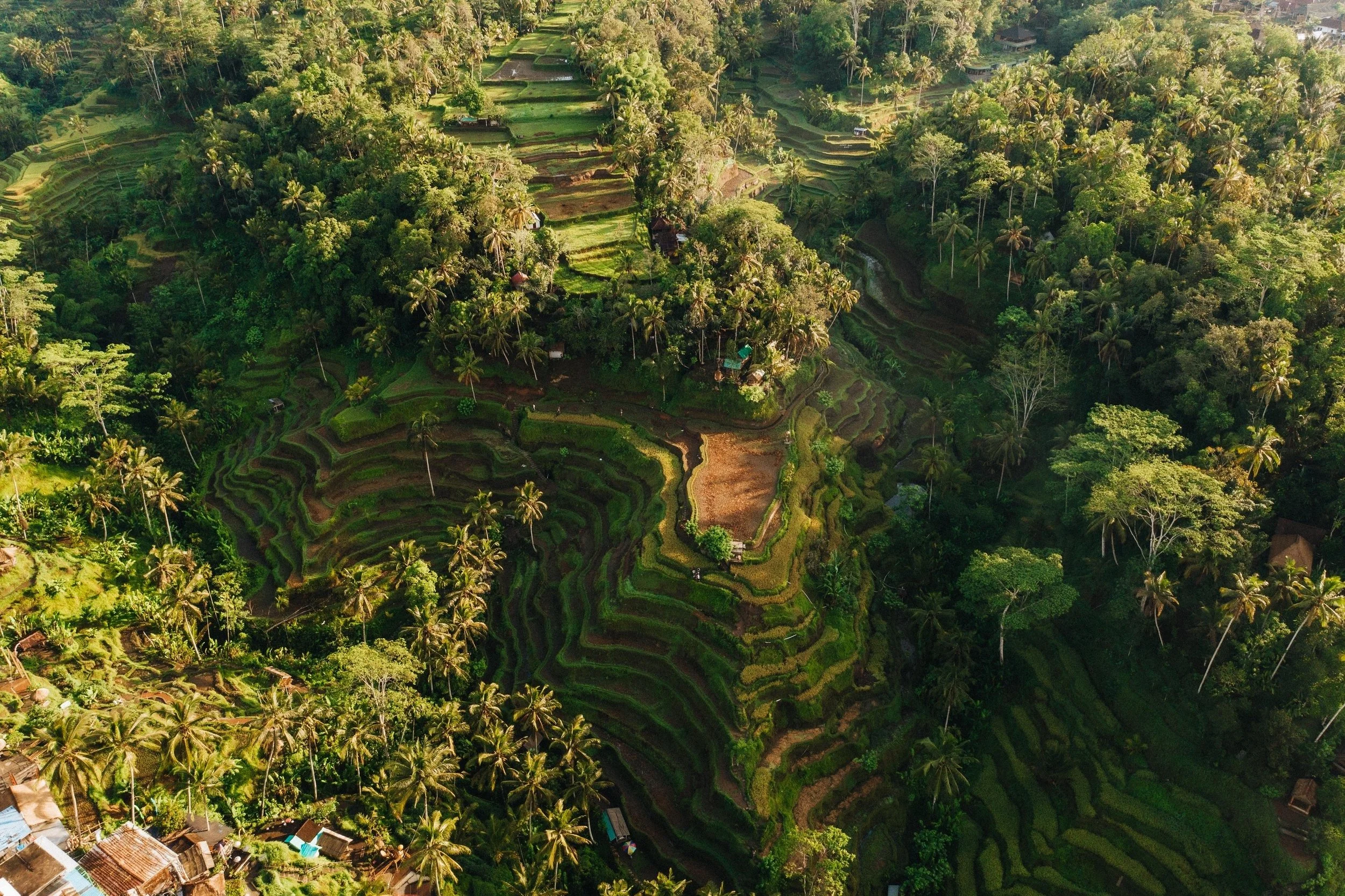 Bali 1:1 Retreat - Deposit