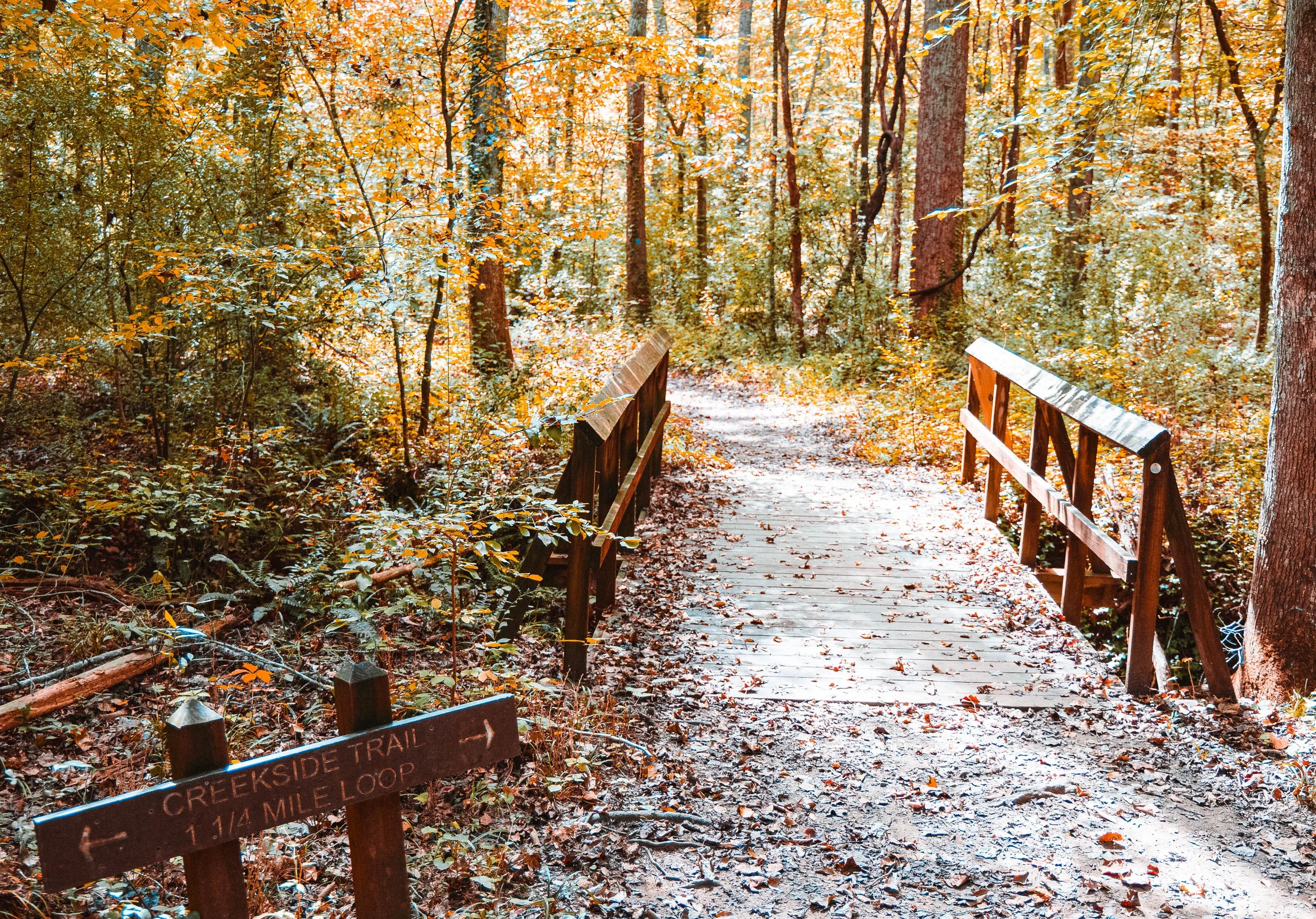 TrailBridge1.jpg