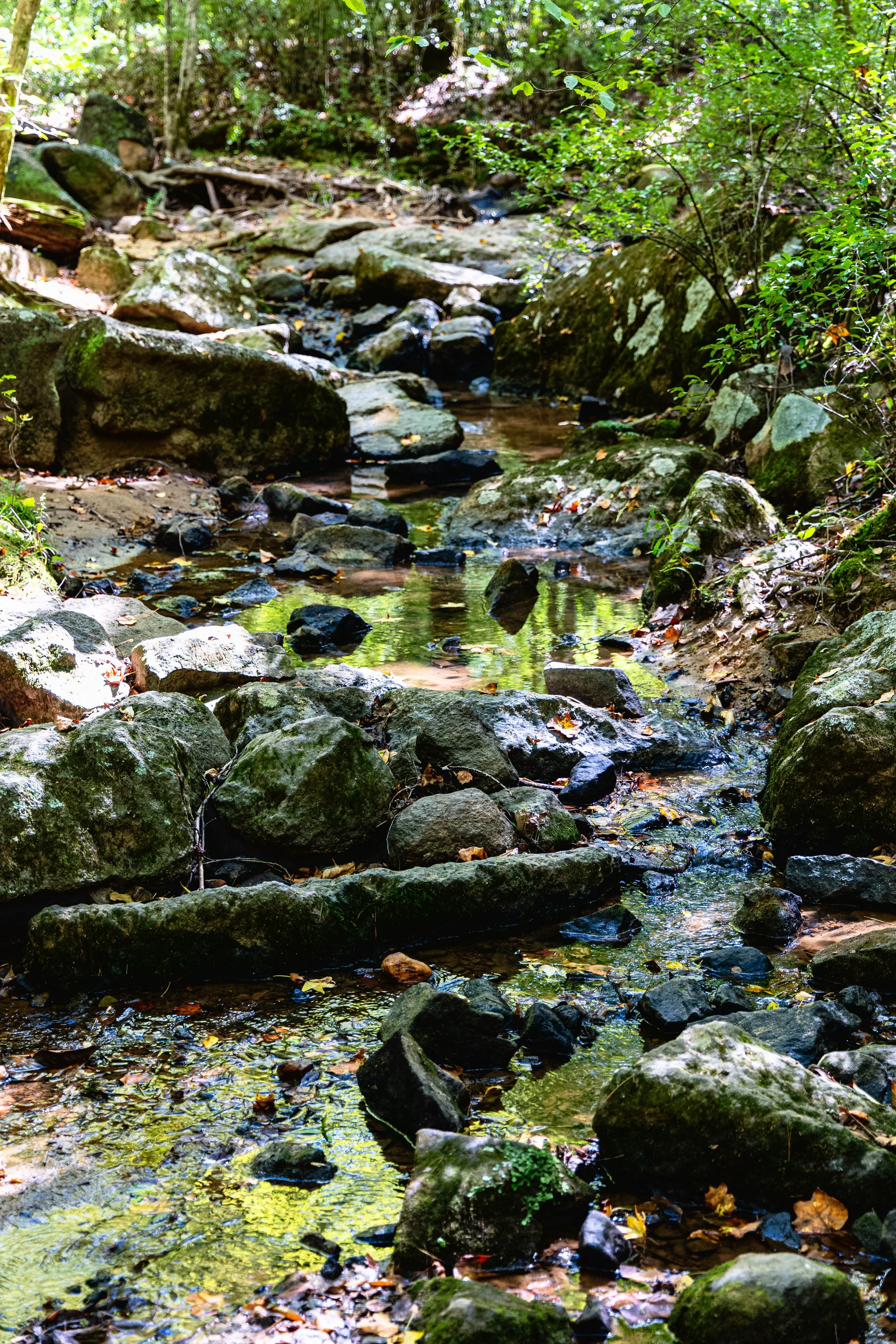 FlowingCreek.jpg