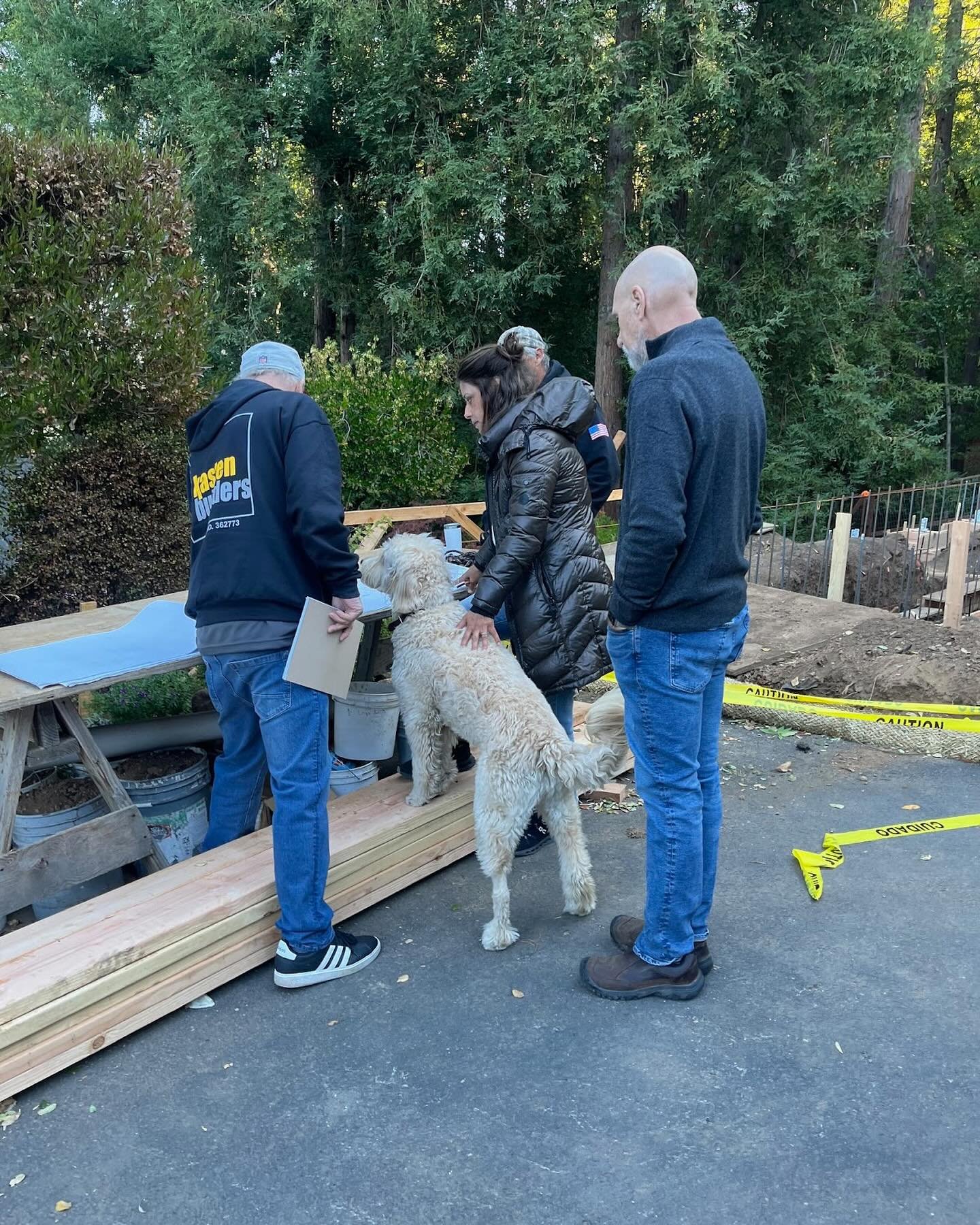 Blossom hard at work on the Bullseye project site! All plans must have our furry friend&rsquo;s stamp of approval 🐾 #coupardesign #kastenbuilders #feldmanarchitecture #bullseye #marin