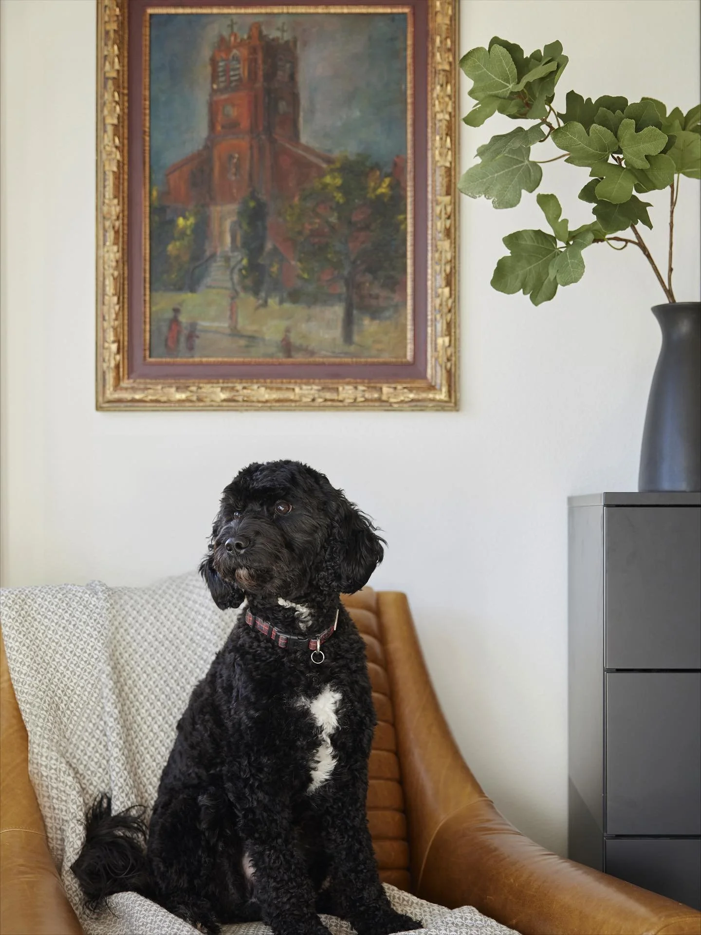 A lifelong artist, Andrea Halkovich has always found inspiration in the beauty of expression &mdash; first through performance and now through design.
 Raised in a creative Sonoma household, Andrea&rsquo;s early years were spent studying music, theat