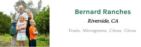 bernard.JPG