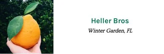 heller.JPG