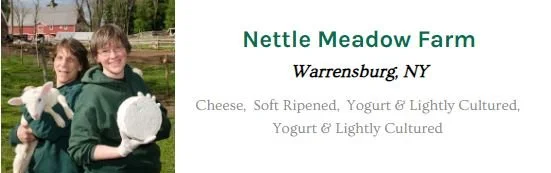 nettel.JPG