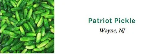 pariot.JPG
