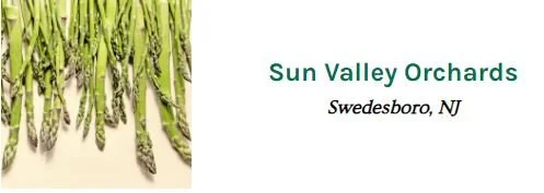 sun va.JPG
