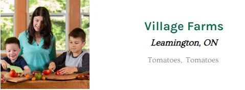 village farm.JPG