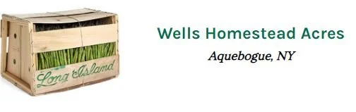 wells long island.JPG