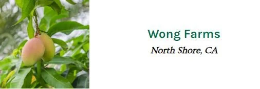 wong.JPG