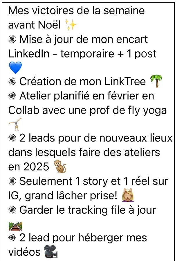 French text listing personal achievements before Christmas, including updating LinkedIn, creating a LinkTree, planning a February workshop, gaining leads for new spaces for workshops in 2025, posting on Instagram, keeping tracking files updated, and finding leads to host videos.