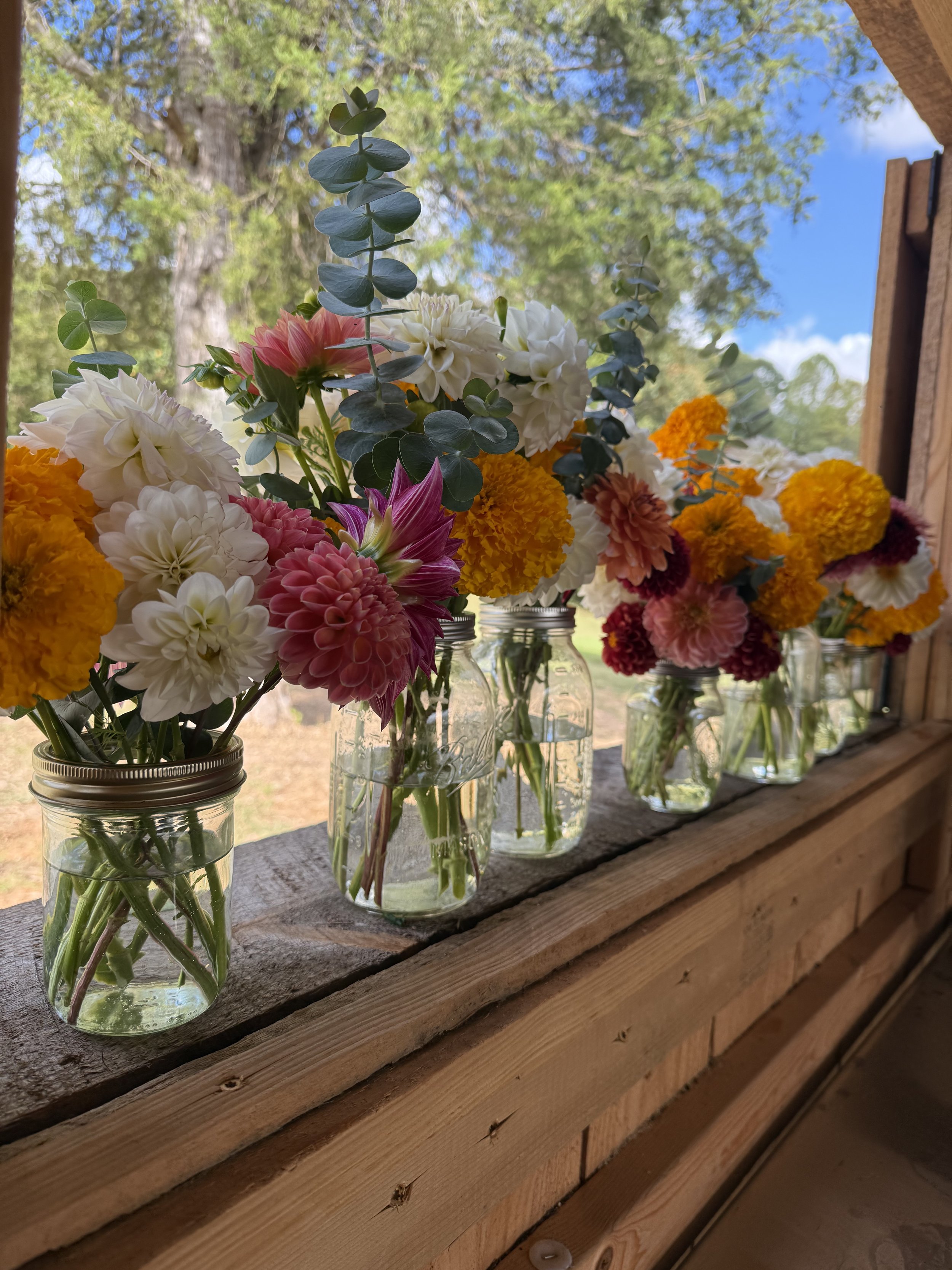 Floral CSA [Friday Pick Up]